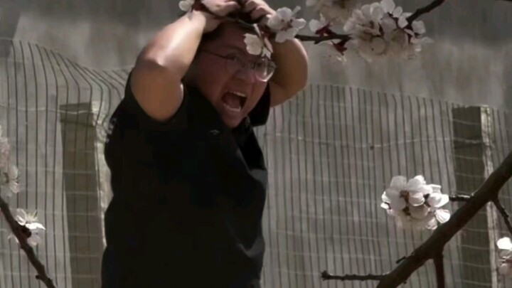 The flowers are in bloom—time for another fake backdrop!