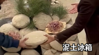 مقدمة علمية قصيرة: هل سبق لك أن رأيت هذا الثلاجة الطينية الأفغانية المستخدمة لحفظ العنب؟