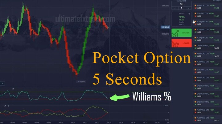 Survive Pocket Option for 5 Seconds