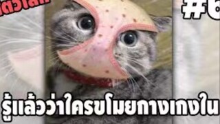 รวมคลิปตลกๆ : ก็ว่ากางเกงในหายไปไหน!!!