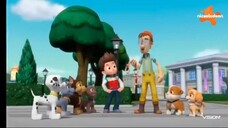 Paw Patrol Musim 9 Episode 19 dan Episode 20 Bahasa Indonesia Vision+