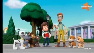 Paw patrol Musim 9 Episode 19 dan Episode 20 Bahasa indonesia