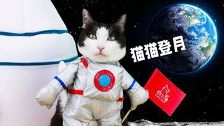 Aku di rumah! Menggunakan kucing! Mereproduksi proyek pendaratan di bulan!