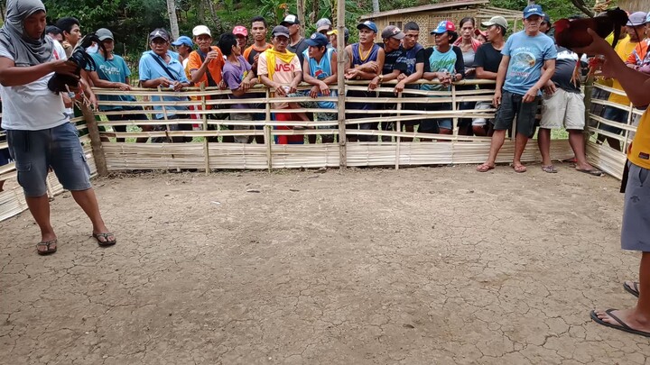 Topada Draw Yellow Legged Hatch