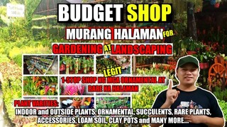 MURANG HALAMAN for GARDENING at LANDSCAPING | 1-STOP SHOP | TWISTED FERN GARDEN and LANDSCAPING