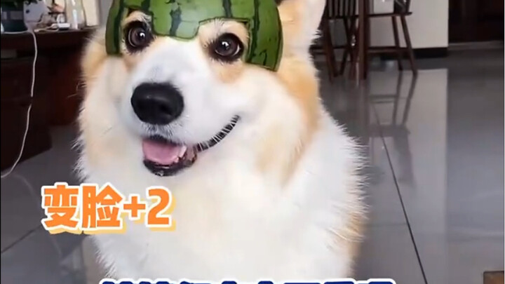 كوجي متقلب الوجه، البطل ذو الوجهين