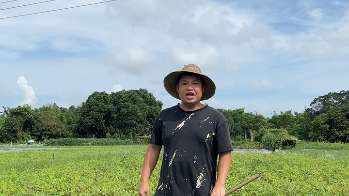 Pertempuran Heboh di Universitas Shihezi