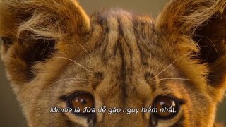 Động vật chào đời EP 8 [Sub Việt]