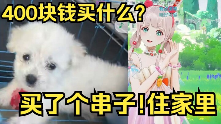 400块钱买什么？买了个串子住姐家里！