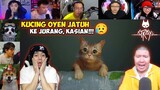 Reaksi Gamer Kaget Melihat Kucing Oyen Jatuh Ke Jurang | Stray Indonesia