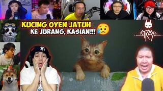 Reaksi Gamer Kaget Melihat Kucing Oyen Jatuh Ke Jurang | Stray Indonesia
