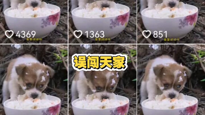 I'm begging you too!