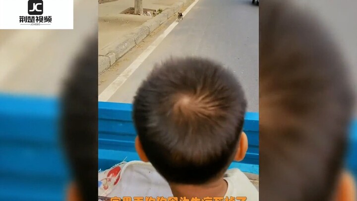 Ở Trịnh Châu, Hà Nam, sau khi được cho ăn xúc xích, chú chó con đã rượt theo chiếc xe suốt một km tr