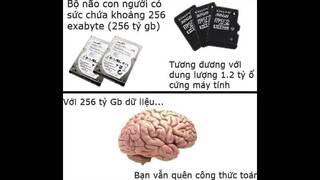 Tổng hợp meme thừa muối cực mặn #5.
