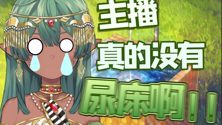 This croc peed the bed on livestream?! No amount of explanation can clear its name.