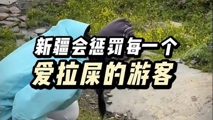 Xinjiang will teach every poop-loving tourist a lesson—the outhouse here delivers a one-two punch of
