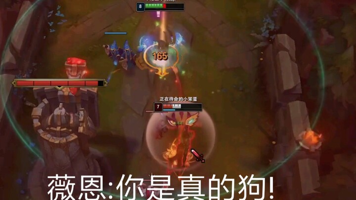 薇恩:你是真的狗!