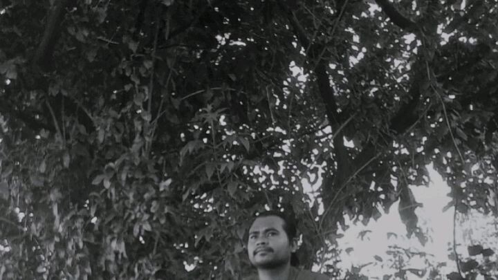 Jangan Mati Sebelum One Pice Tamat?