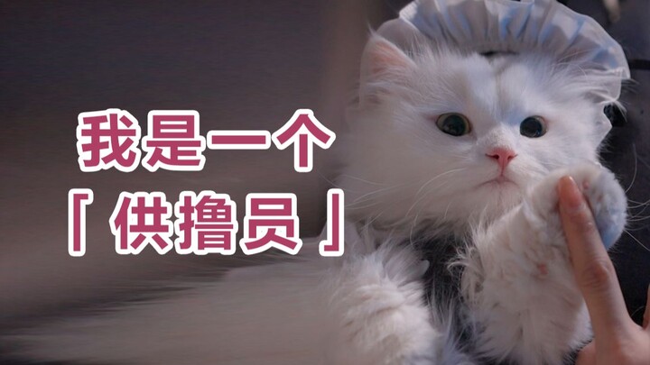 ฉันได้รับมอบหมายให้ไปเป็นสาวบริการนวดที่ “ไป๋เหมาฮั่น”