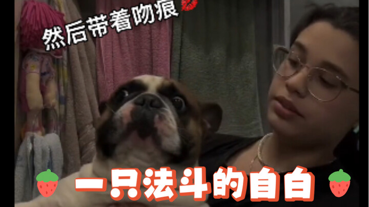 A French Bulldog's Confession