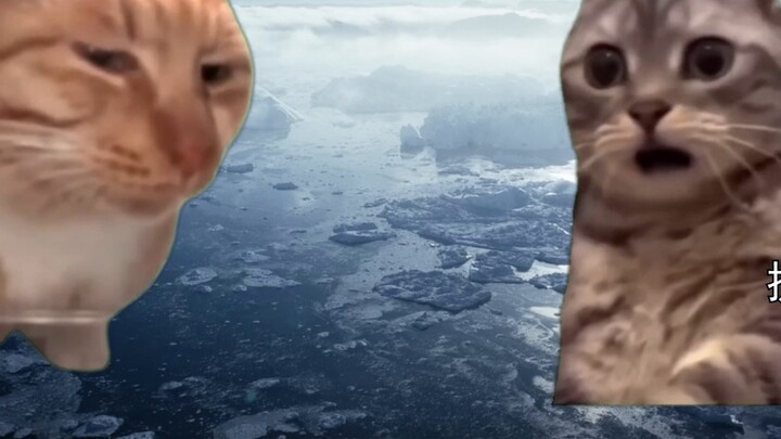 Godzilla vs. Kong 2, but with cat meme