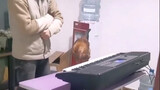[Animals]A chicken playing an electronic organ