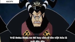 Top 7 Trái Paramecia Phòng Thủ Cực Mạnh Trong One Piece #2-5