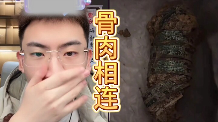 完整版〔骨肉相连，吓死听泉〕