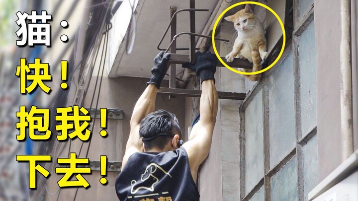 แมว: ฉันกลัวความสูง! รีบอุ้มฉันลงมาหน่อย!!! [ทีมช่วยเหล่าสัตว์]