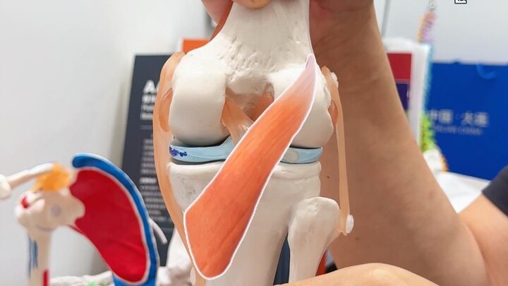 Be sure to remember these two points for meniscus protection