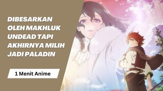 Sinopsis anime saihate no paladin