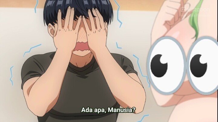 ADUH PARA ELF INI SUKA MENGGODA MANUSIA 🔞