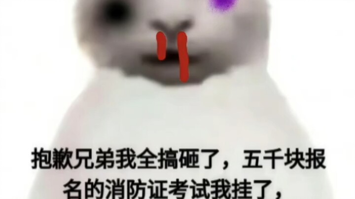 Sorry, bro—this 5,000-yuan exam I signed up for? I totally blew it. I’ve lost everything. I’m so sor