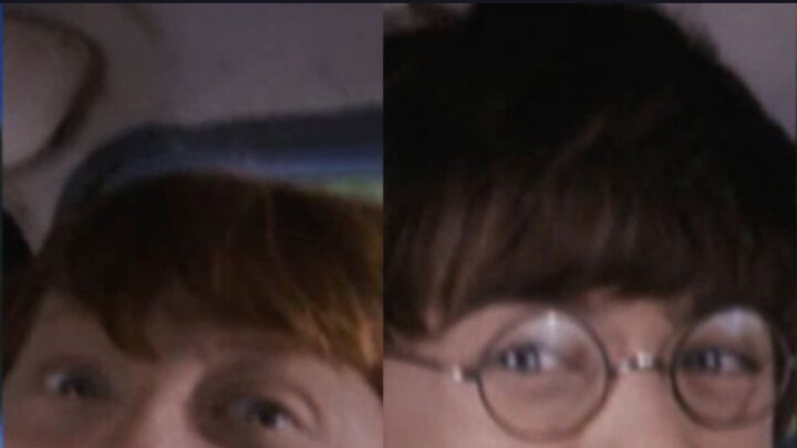 Hanya penggemar Harry Potter yang mengerti lelucon 11