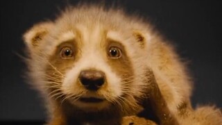 《银河护卫队3》火箭悲惨的一生