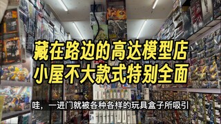 不是哥？这怎么还有个模型店？