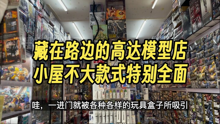 不是哥？这怎么还有个模型店？