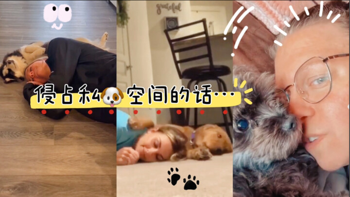 “Nếu đột nhiên xâm phạm không gian riêng của cún con thì…”