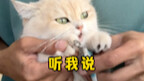 来一起剪指甲呀~