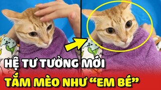 Vitamin Mèo - Hệ tư tưởng TẮM MÈO như tắm cho EM BÉ 😂 | Yêu Lu