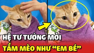 Vitamin Mèo - Hệ tư tưởng TẮM MÈO như tắm cho EM BÉ 😂 | Yêu Lu