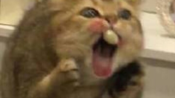 หัวดับเพลิง! หัวดับเพลิง คุณเป็นอะไรไป หัวดับเพลิง!