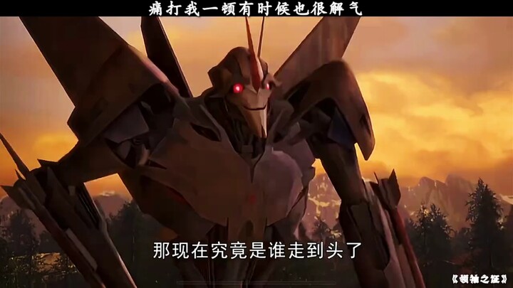 红蜘蛛的搞笑明场面