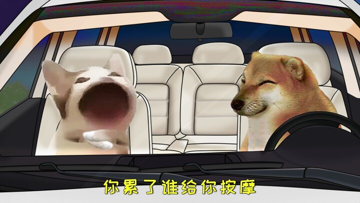 Are you really trying to make me feel better?