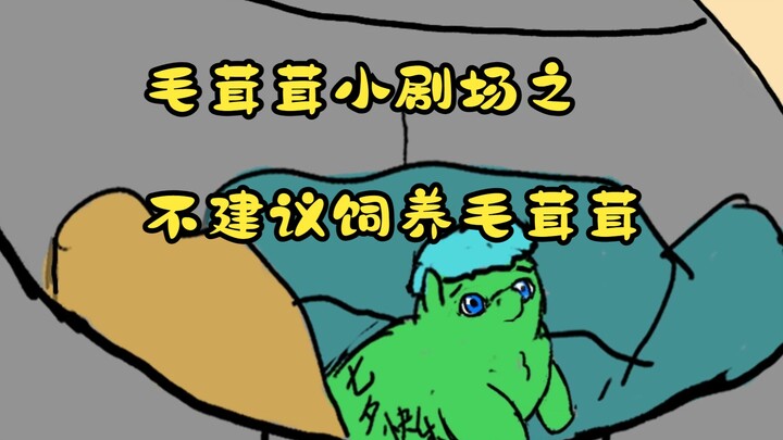 毛茸茸小剧场之不建议大家饲养毛茸茸。