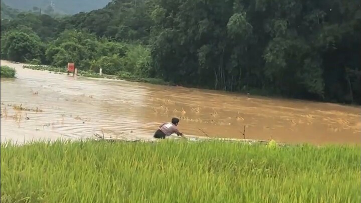 Life is so tough for farmers in Guangxi after the disaster!