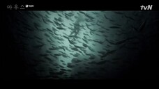 [Indo-Sub] Ep.20 End | 𝕄𝕠𝕦𝕤𝕖 (𝟚𝟘𝟚𝟙). 720P