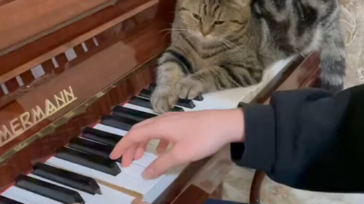 I'm at a friend's place with a little listener.