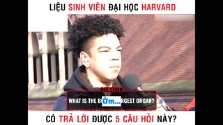Sinh viên Harvard có trả lời được 5 câu hỏi này part 4 #giaitri