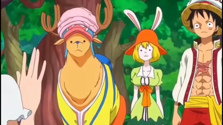 3 MOMEN LUCU ONE PIECE